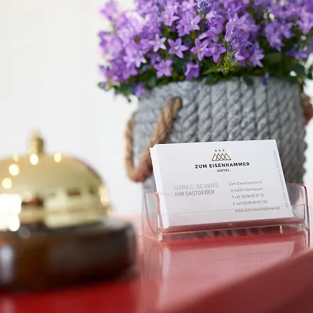 Hotel Zum Eisenhammer