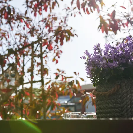 Hotel Zum Eisenhammer 3*