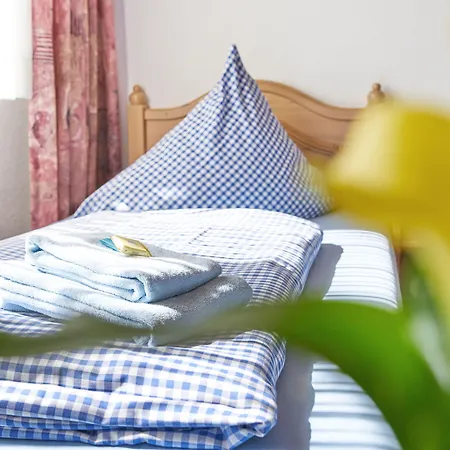 酒店 Zum Eisenhammer