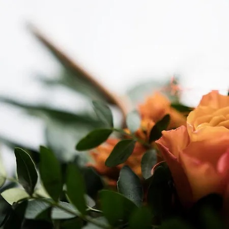 Zum Eisenhammer Hotel