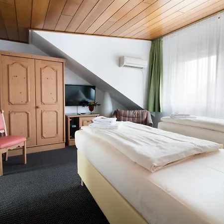 Zum Eisenhammer Hotel 3*