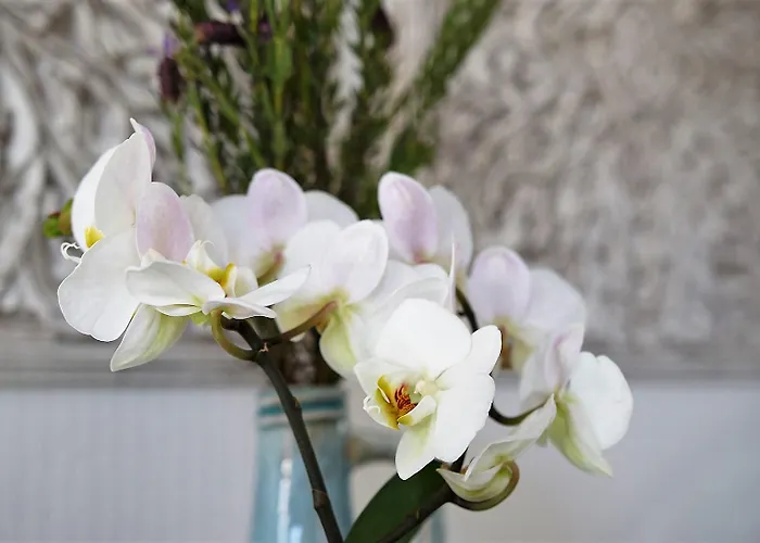 Zum Eisenhammer 3* Oberhausen (North Rhine-Westphalia)