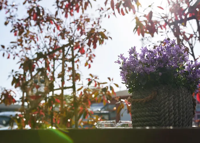 酒店 Zum Eisenhammer 3*