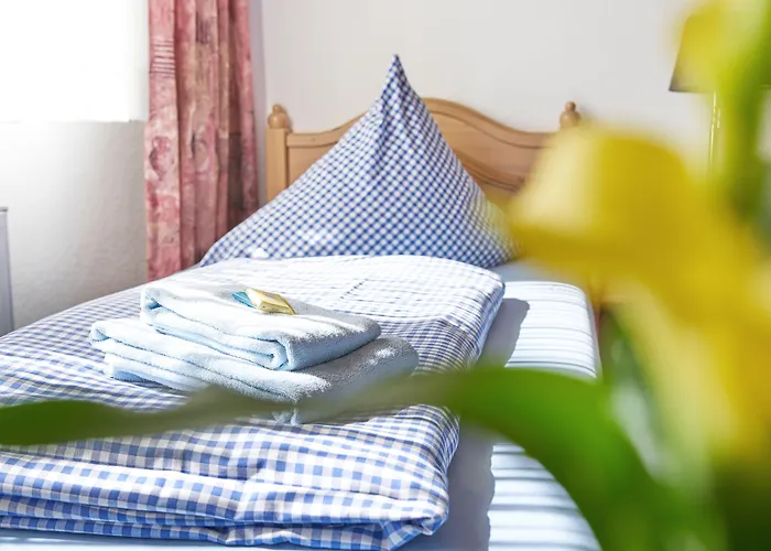 酒店 Zum Eisenhammer