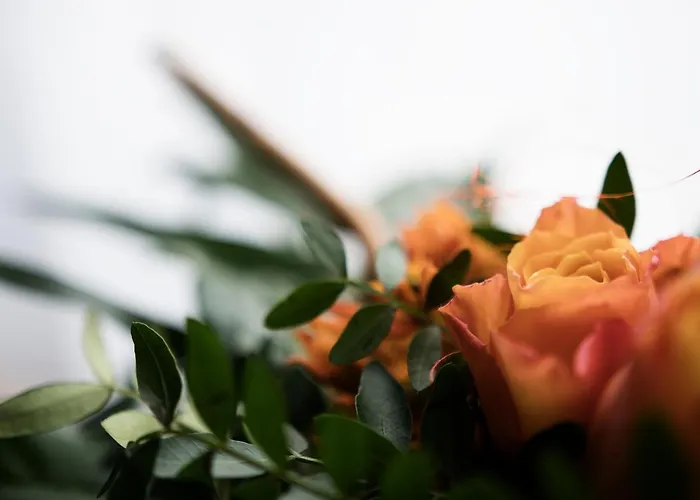 Zum Eisenhammer 酒店